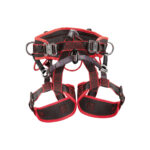 Climax Atlas Tree Basic Arboricultura