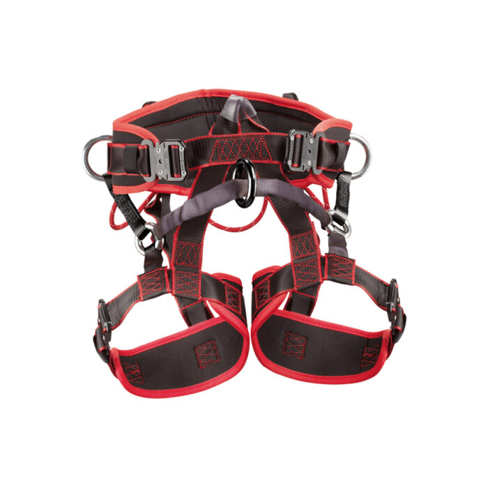 Climax Atlas Tree Basic Arboricultura - Image 1