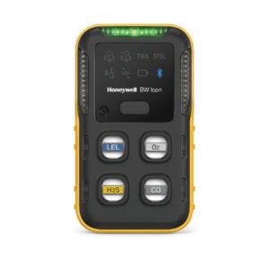 BW Icon Fixed Life 2 Year Detector